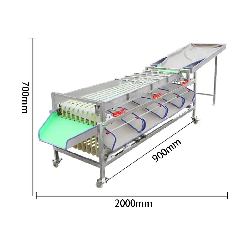 Automatic Fruit And Vegetable Size Sorting Grading
