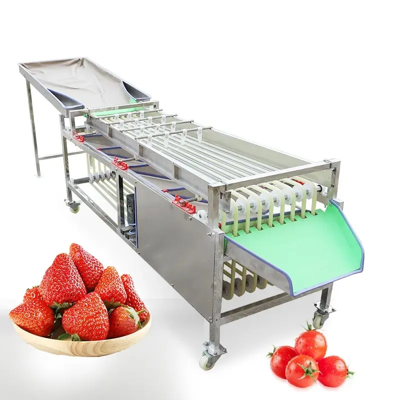 Automatic Fruit And Vegetable Size Sorting Grading