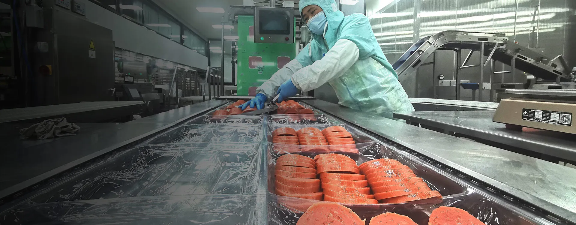 Professional Packaging Machine