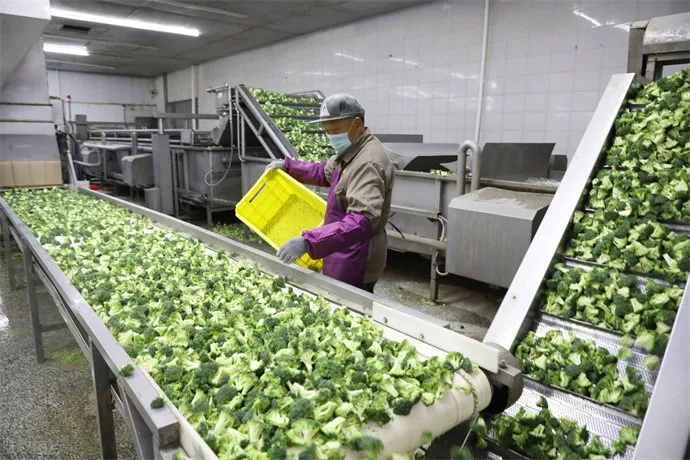 Snack Making Machine