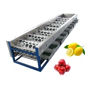 Obstsortierausrüstung