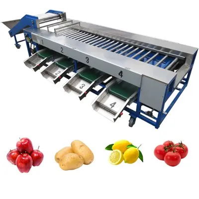 Sortiermaschine für Obst und Gemüse