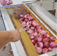 U-förmige Haarwalzen- und Reinigungsmaschine